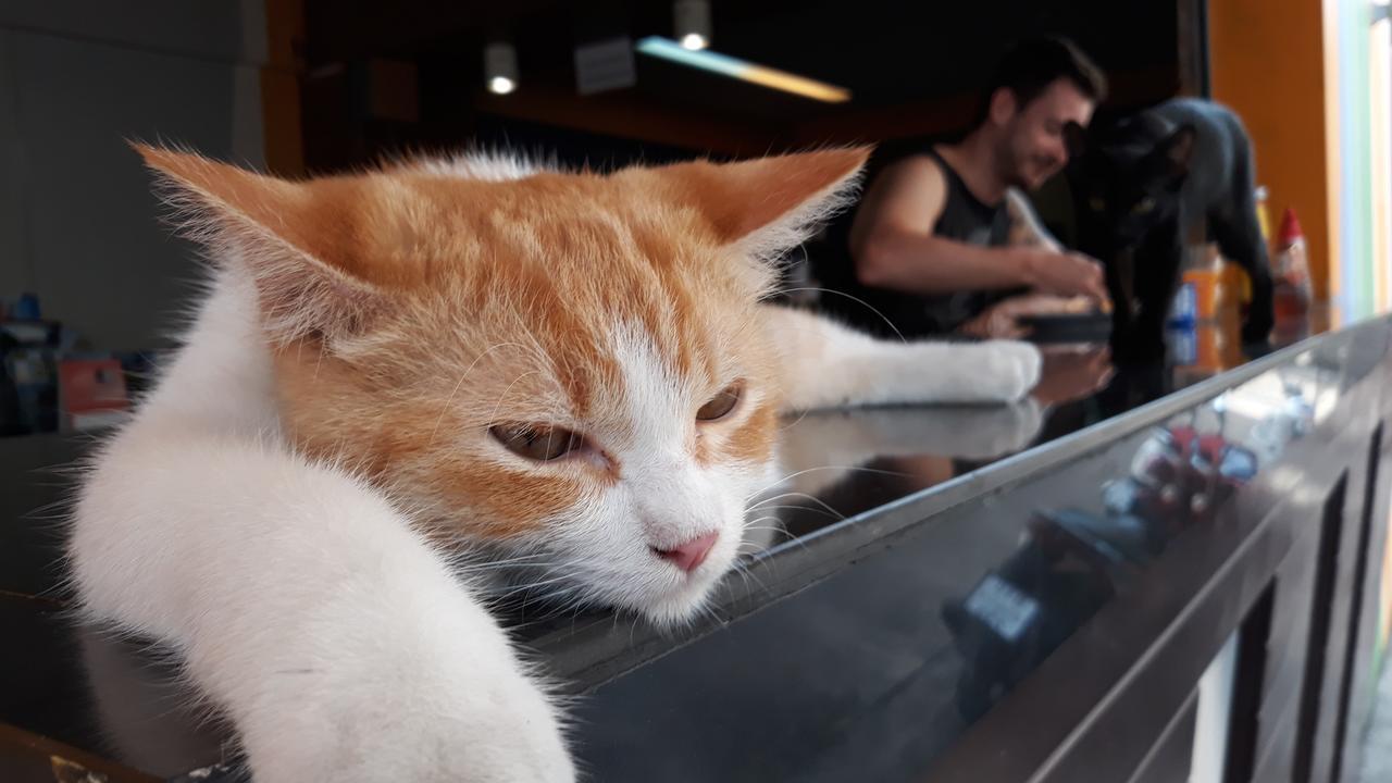 Salsa Hostel Chumphon Zewnętrze zdjęcie